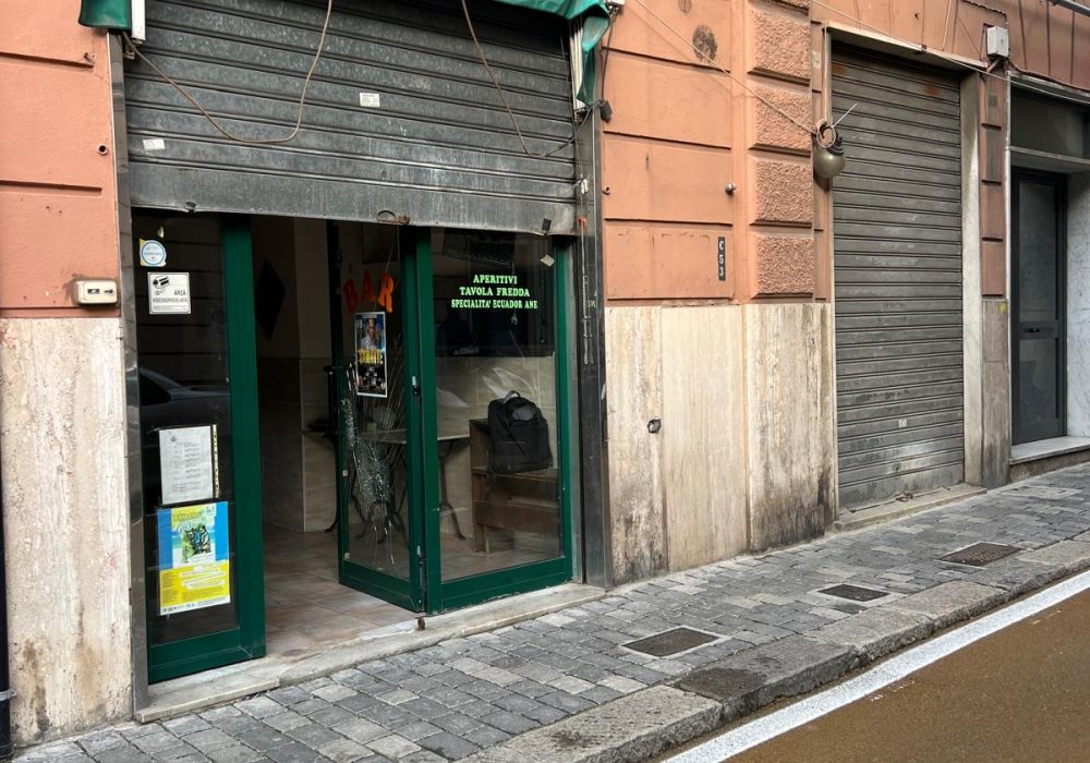 WhatsApp Image 2025-12-08 at 16.48.41 (1)